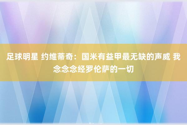 足球明星 约维蒂奇：国米有益甲最无缺的声威 我念念念经罗伦萨的一切