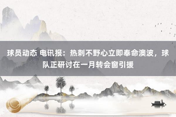 球员动态 电讯报：热刺不野心立即奉命澳波，球队正研讨在一月转会窗引援