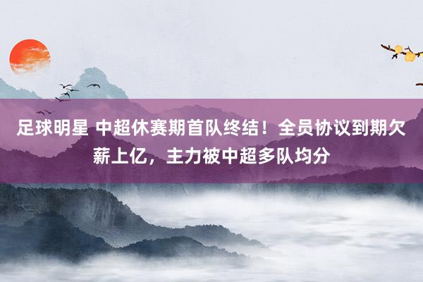 足球明星 中超休赛期首队终结！全员协议到期欠薪上亿，主力被中超多队均分